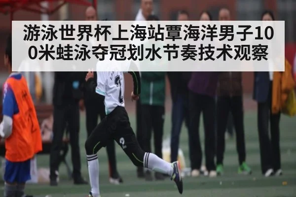 游泳世界杯上海站覃海洋男子100米蛙泳夺冠划水节奏技术观察（Duomi Sports）