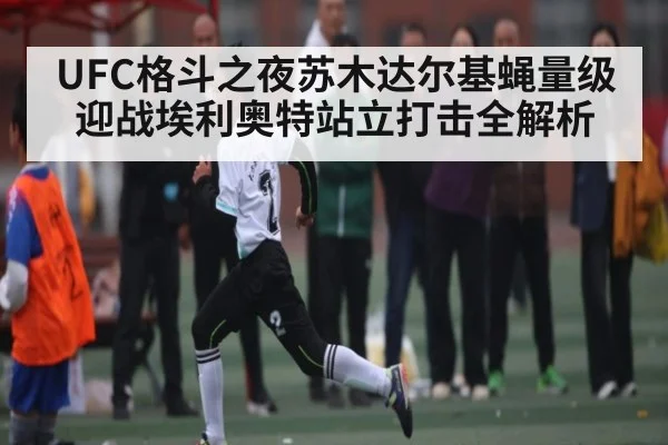 UFC格斗之夜苏木达尔基蝇量级迎战埃利奥特站立打击全解析（Duomi Sports）